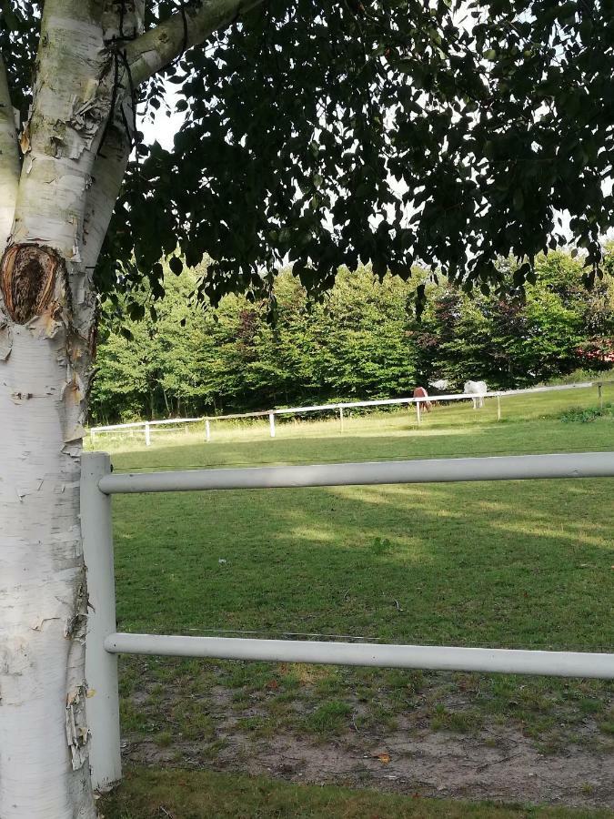 Tankefuld Living'S Horsefarm Leilighet Svendborg Eksteriør bilde